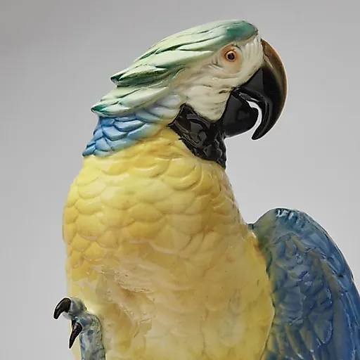 Попугай - View 7