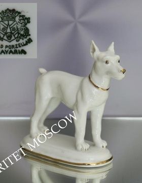 Собака