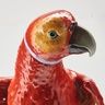 Попугай большой с красно-желтым оперением