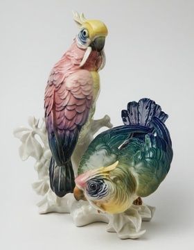 Дуэт попугаев
