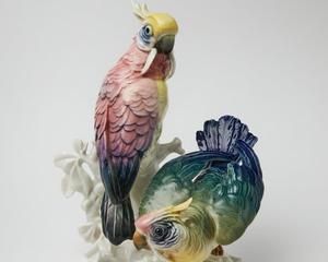 Дуэт попугаев
