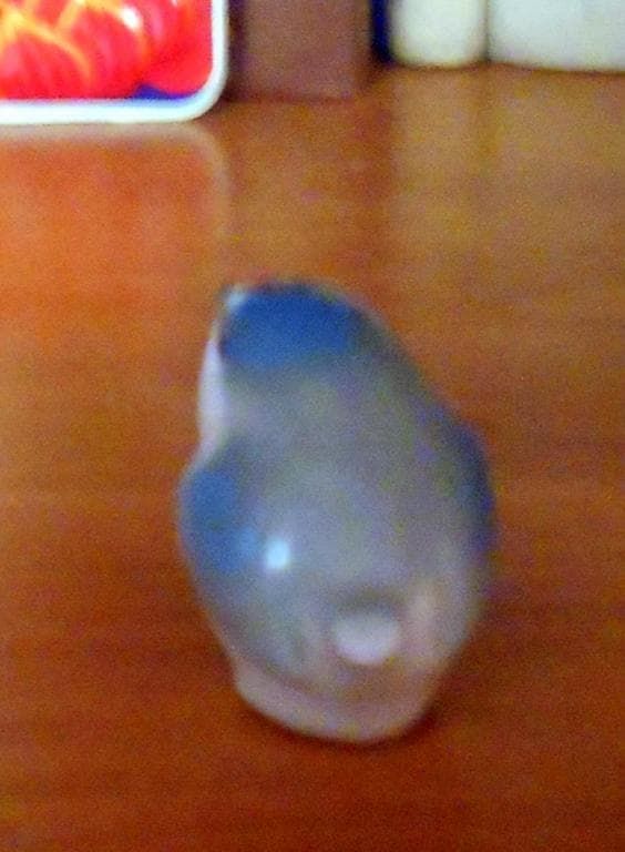 Птичка ЛФЗ Скол хвоста - View 2