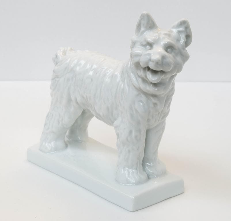 Белая Собака - View 2