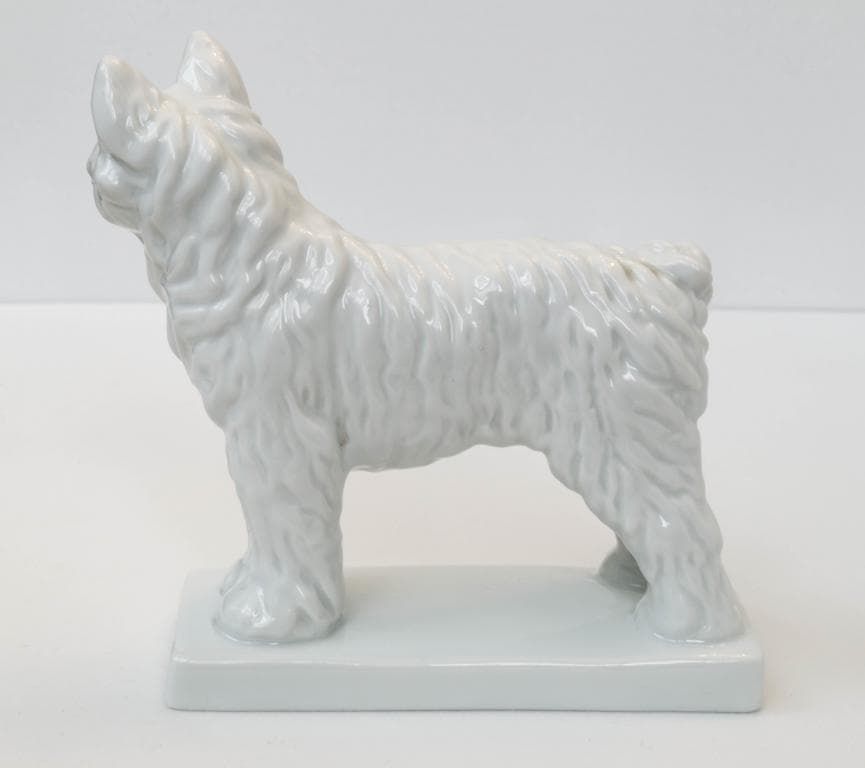 Белая Собака - View 4