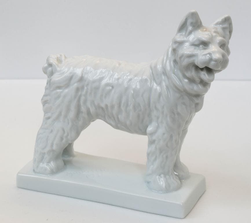 Белая Собака - View 5