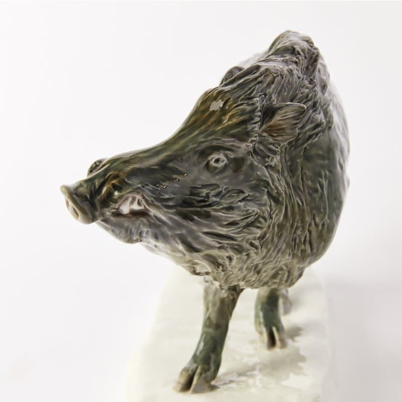 Дикий кабан - View 2