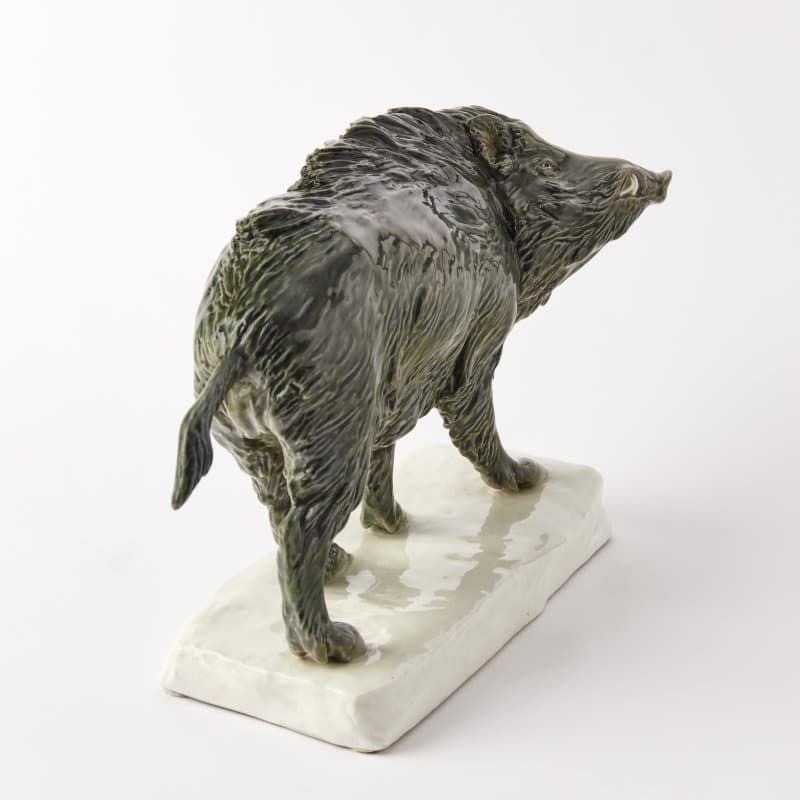 Дикий кабан - View 5