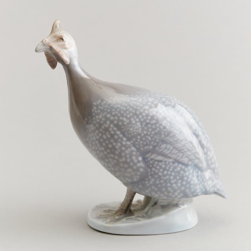 Цесарка - View 2