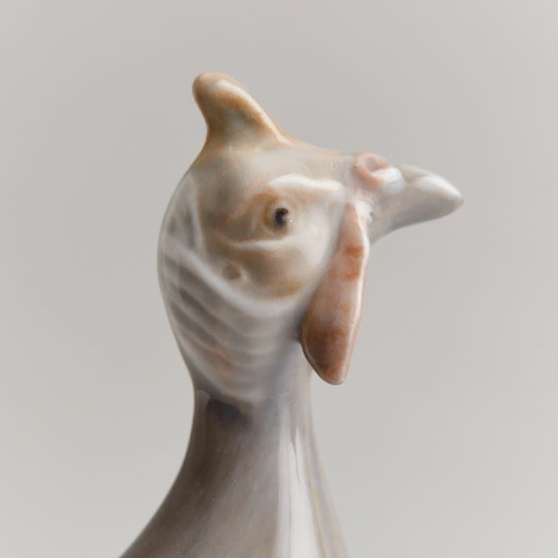 Цесарка - View 5