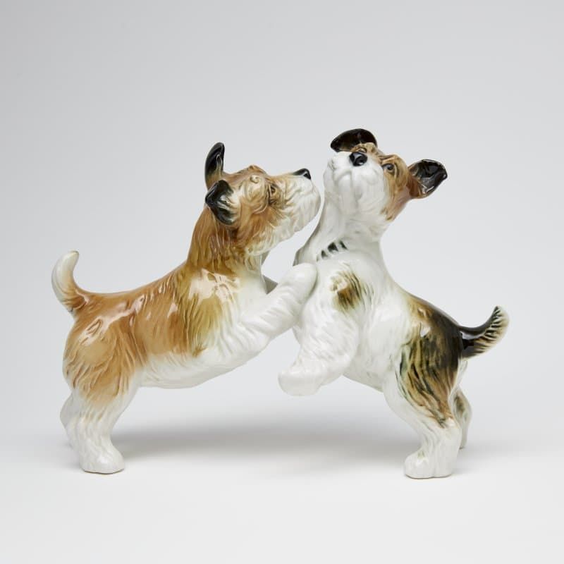 Терьеры играются - View 2