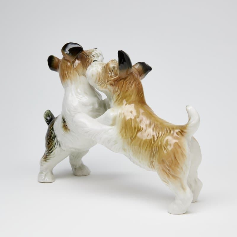 Терьеры играются - View 5